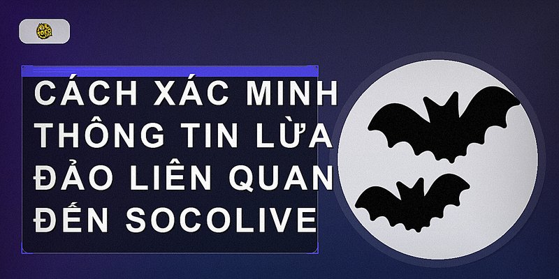 Cách xác minh thông tin lừa đảo liên quan đến socolive