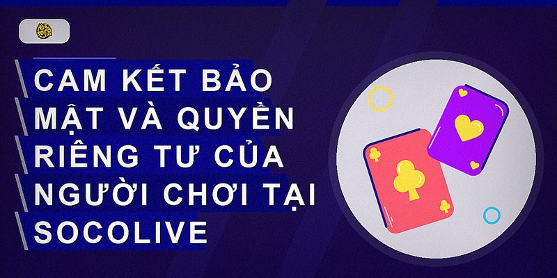 Cam kết bảo mật và quyền riêng tư của người chơi tại Socolive